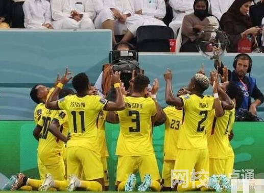 厄瓜多尔球员进球后悼念前国脚 厄瓜多尔总统第一时间发推庆祝球队胜利
